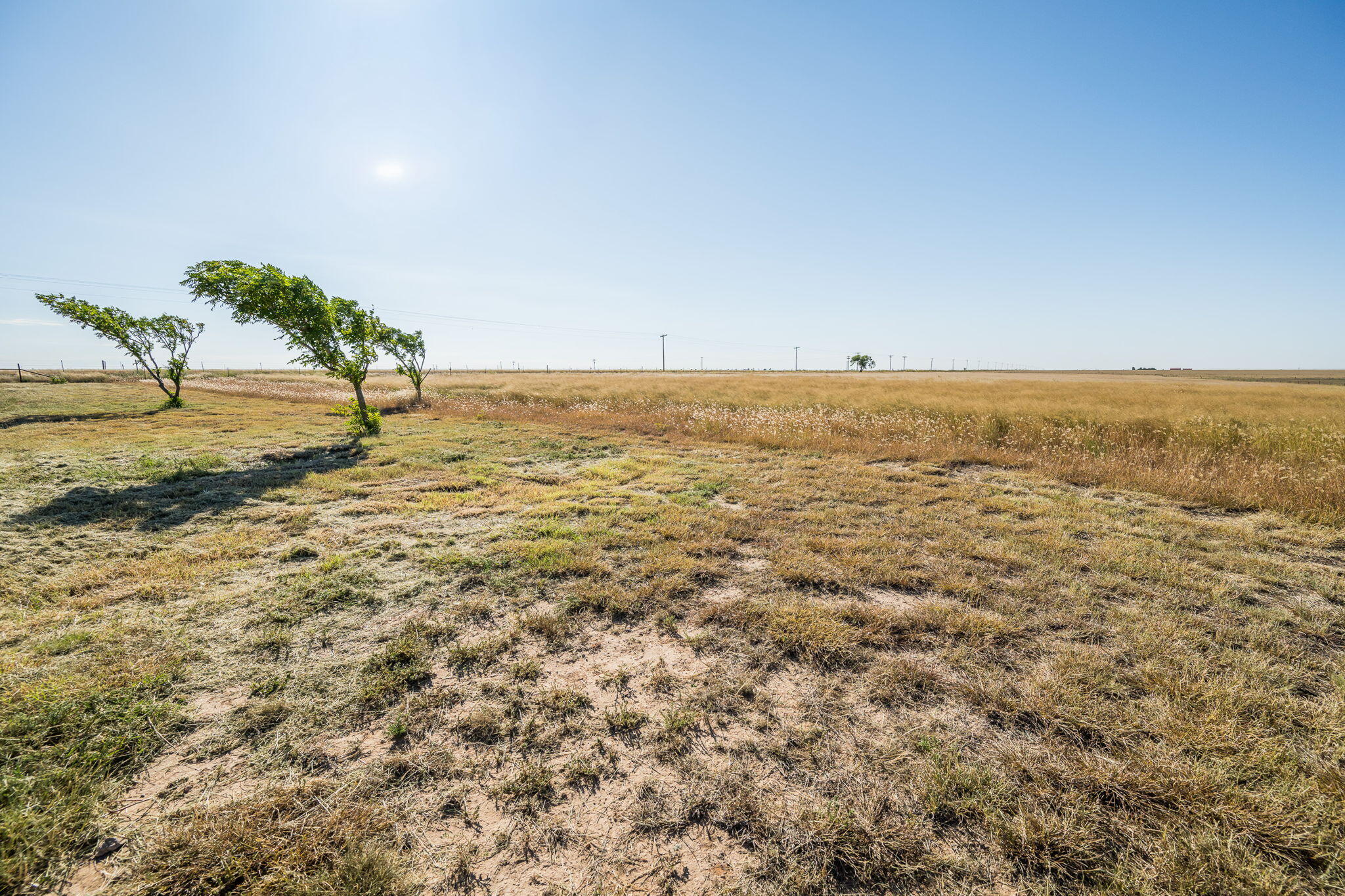 1723 County Road 9 Tulia, TX 79088 - Photo 31 of 32 a view of an ocean