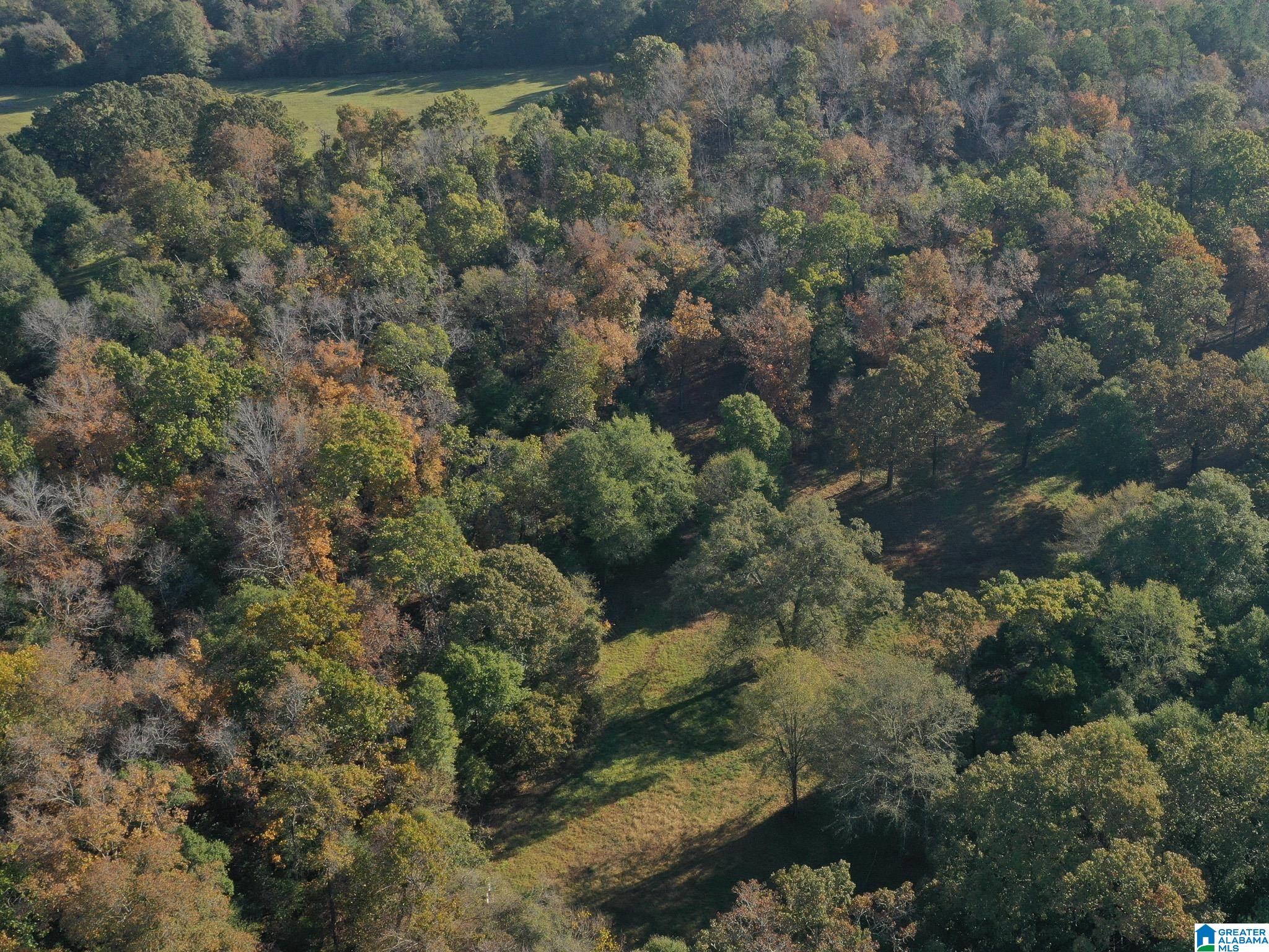 13108 Rocky Ridge Road Fosters, AL 35463 - Photo 37 of 39