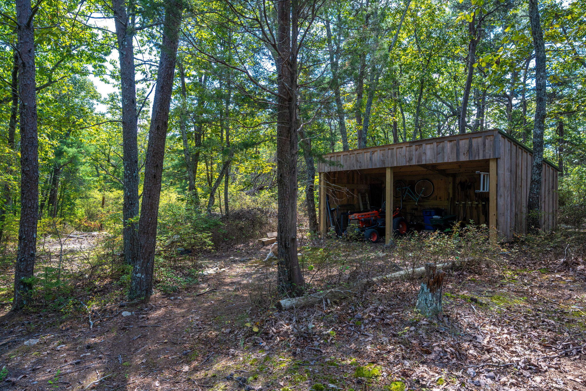 317 Plum Nelly Trail Rising Fawn, GA 30738 - Photo 39 of 40 41-web-or-mls-DSC_6743