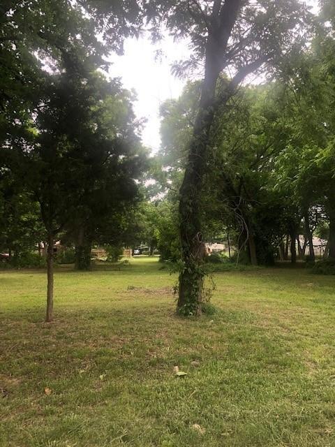 a view of yard with trees