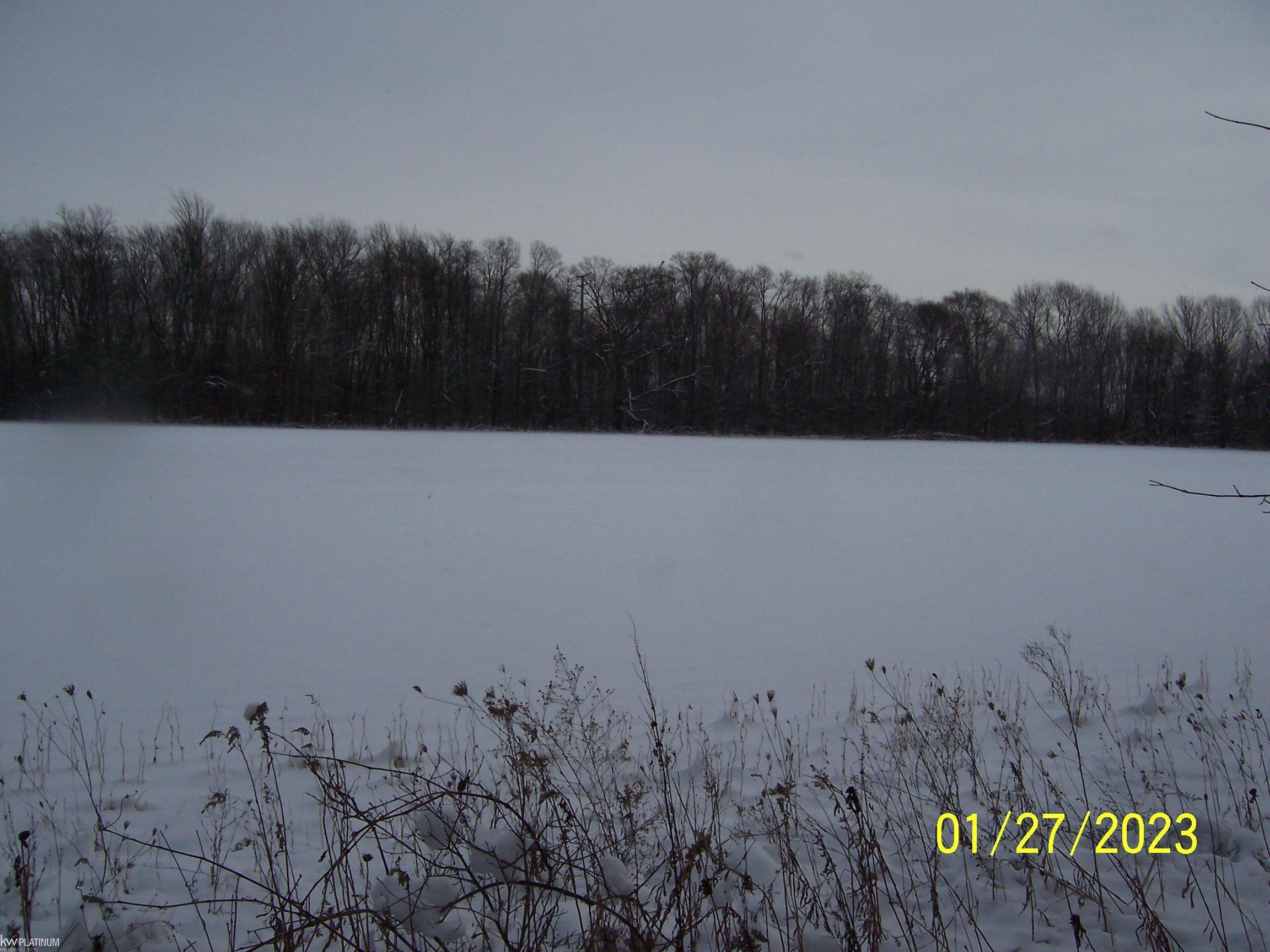 Cove Road Goodells, MI 48027 - Photo 2 of 3