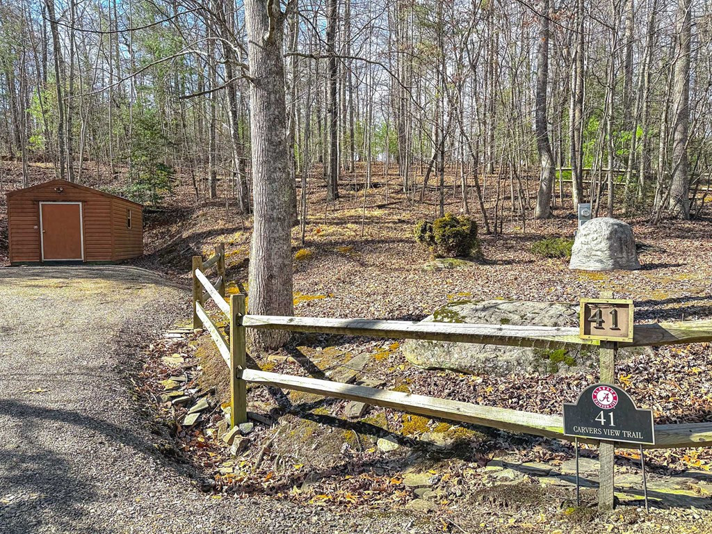 41 Carvers Vw Trail Murphy, NC 28906 - Photo 46 of 46