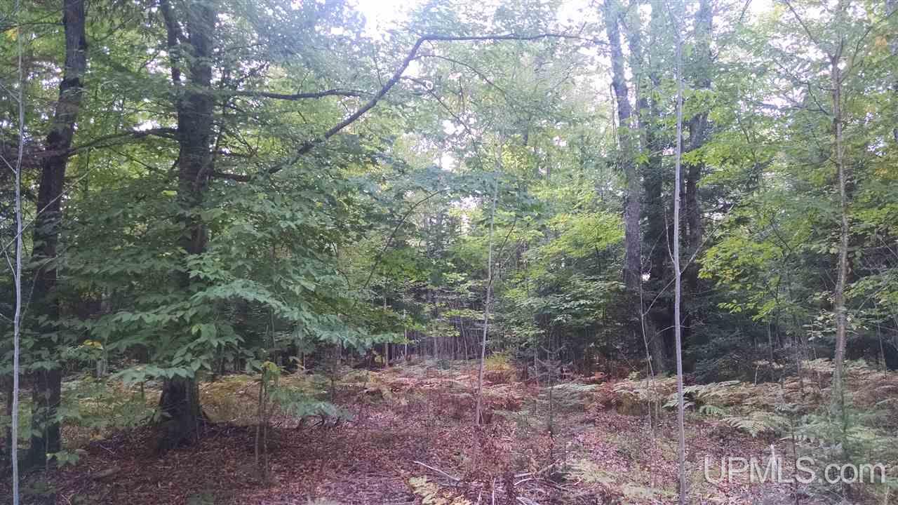 Tbd 51 A Winters Road Trenary, MI 49891 - Photo 6 of 9