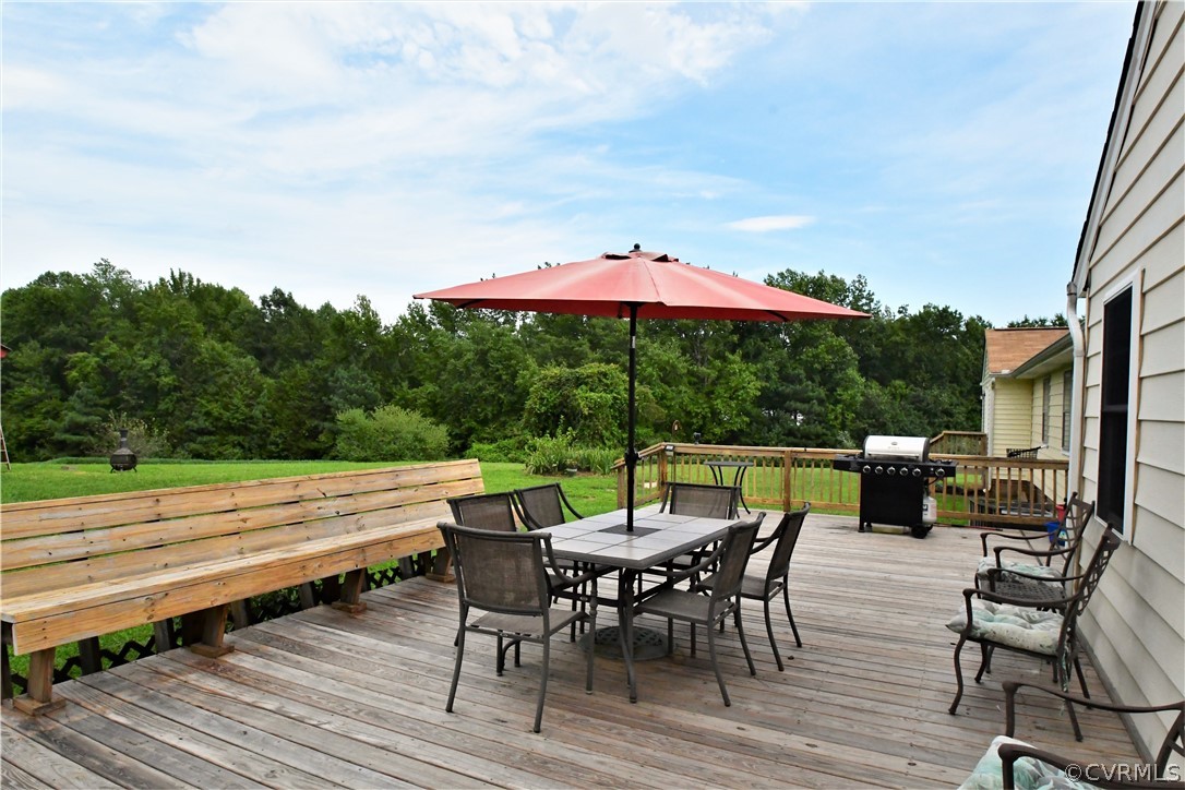 16362 Tyler Station Road Beaverdam, VA 23015 - Photo 37 of 46