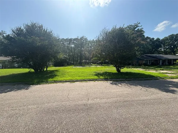 a view of a park with large trees