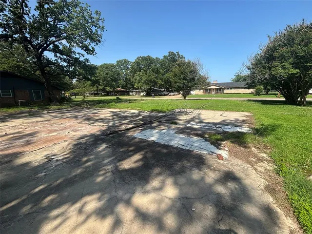 a view of a park with large trees