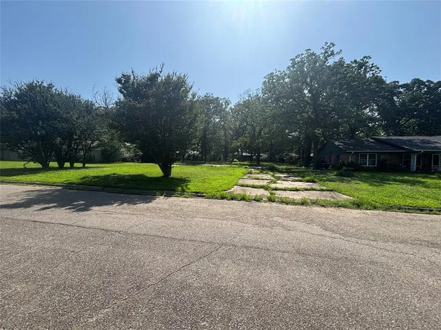 a view of a park with large trees