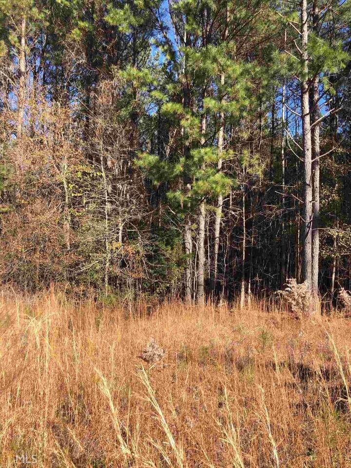 0 Juliette Road, Unit LOT 11 Juliette, GA 31046 - Photo 1 of 1 Gallery Image 1