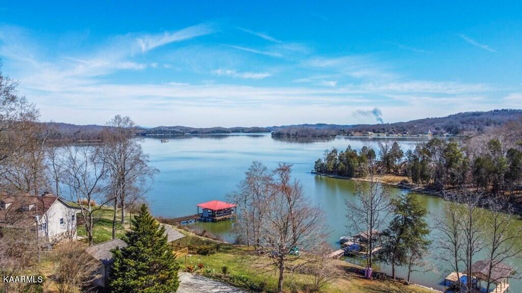 956 Ewing Road Spring City, TN 37381 - Photo 53 of 60 53