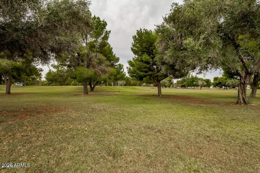 3623 East Charter Oak Road Phoenix, AZ 85032 - Photo 58 of 61 Park Photo 1