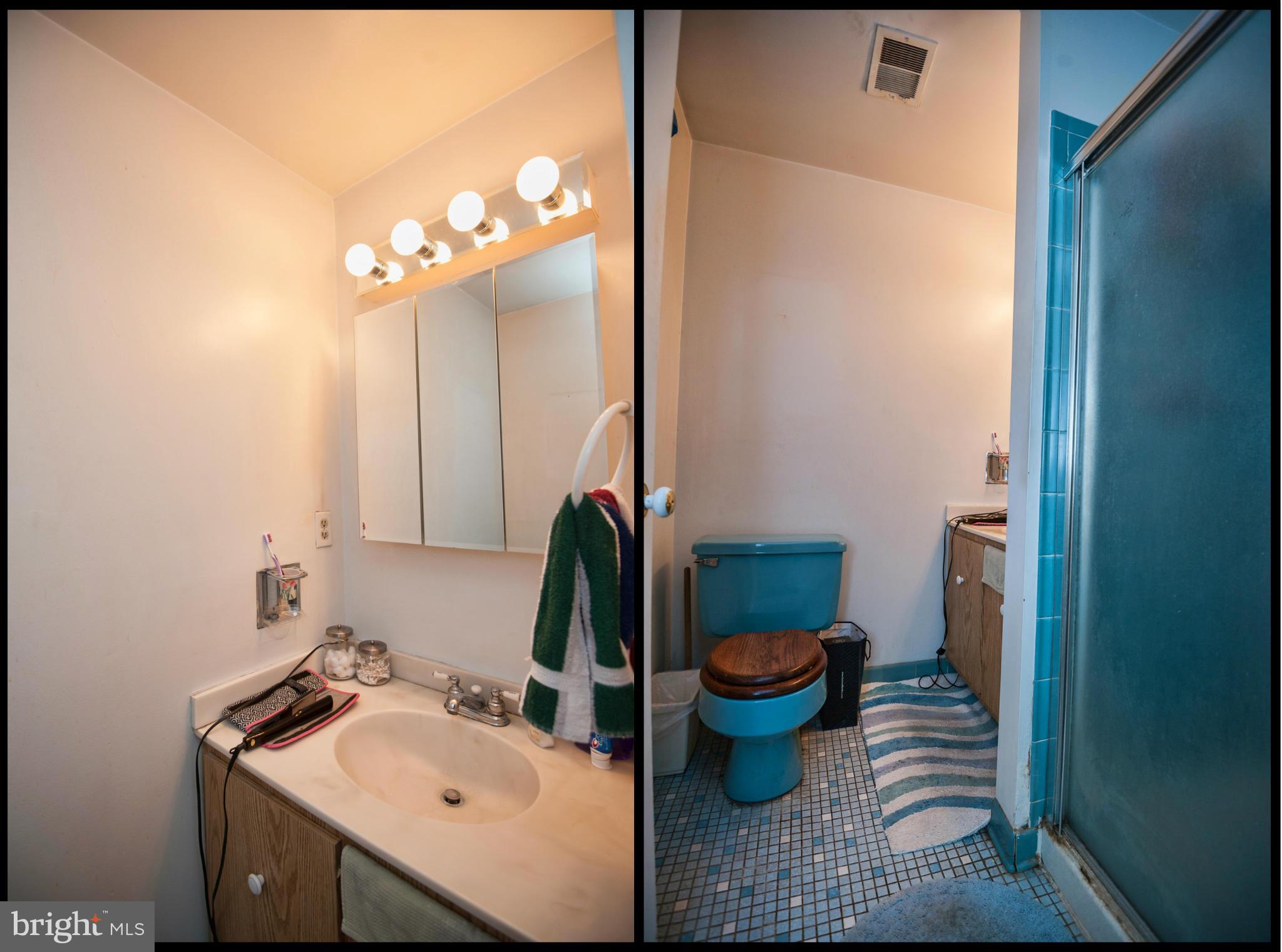 6310 Josephine Road Waldorf, MD 20601 - Photo 12 of 15 Bath (Master)