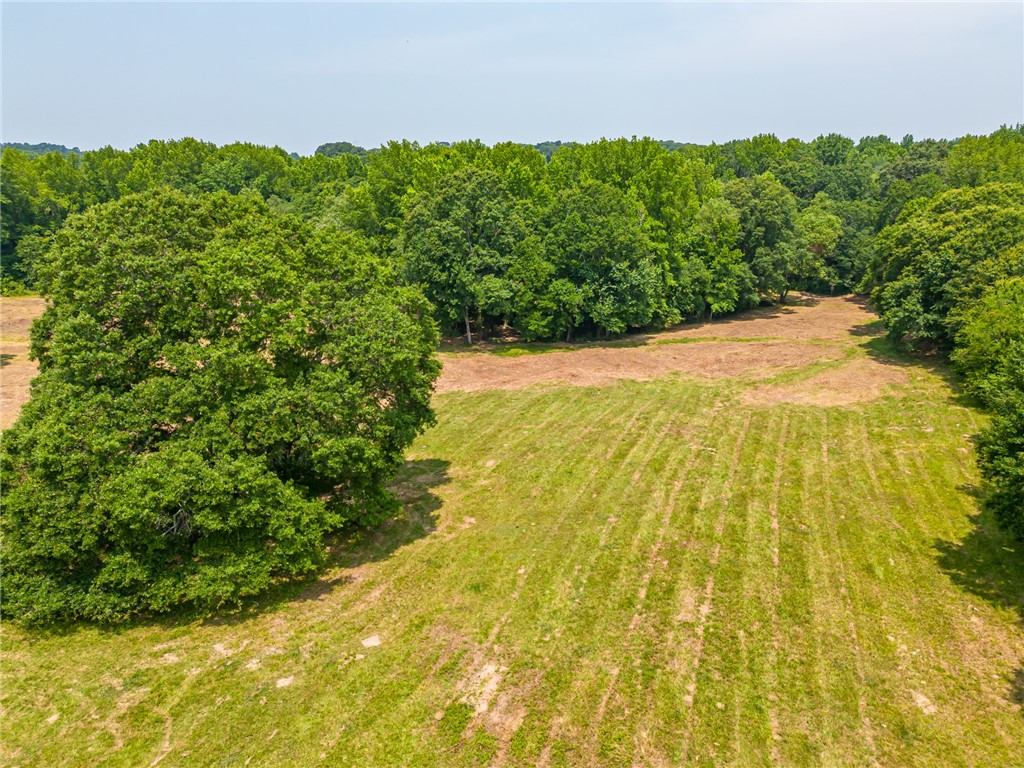 1308 Breazeale Road Easley, SC 29640 - Photo 12 of 50