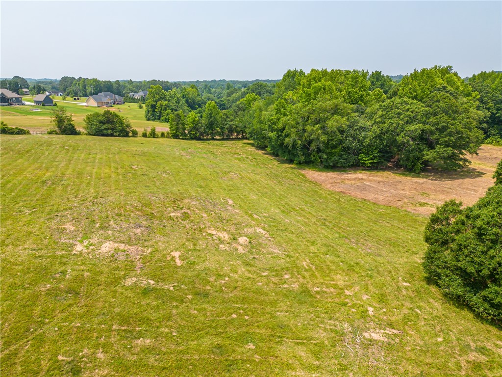 1308 Breazeale Road Easley, SC 29640 - Photo 13 of 50