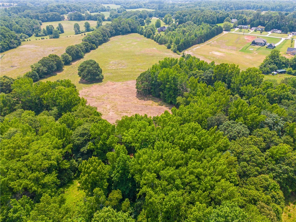 1308 Breazeale Road Easley, SC 29640 - Photo 19 of 50