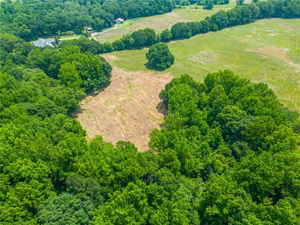 1308 Breazeale Road Easley, SC 29640 - Photo 20 of 50