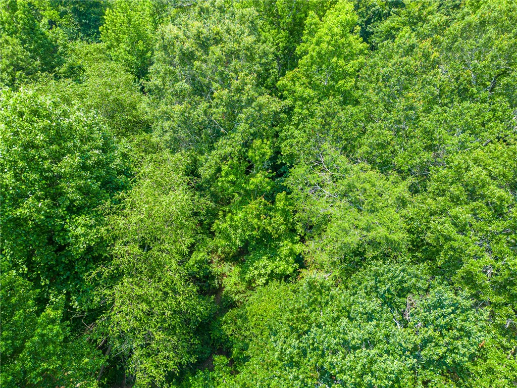 1308 Breazeale Road Easley, SC 29640 - Photo 26 of 50