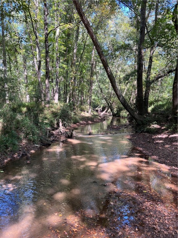 1308 Breazeale Road Easley, SC 29640 - Photo 37 of 50