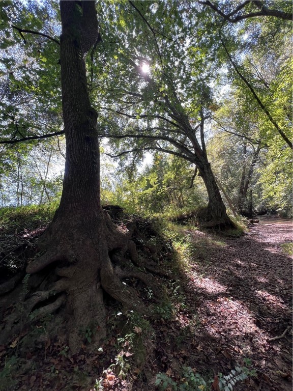 1308 Breazeale Road Easley, SC 29640 - Photo 40 of 50