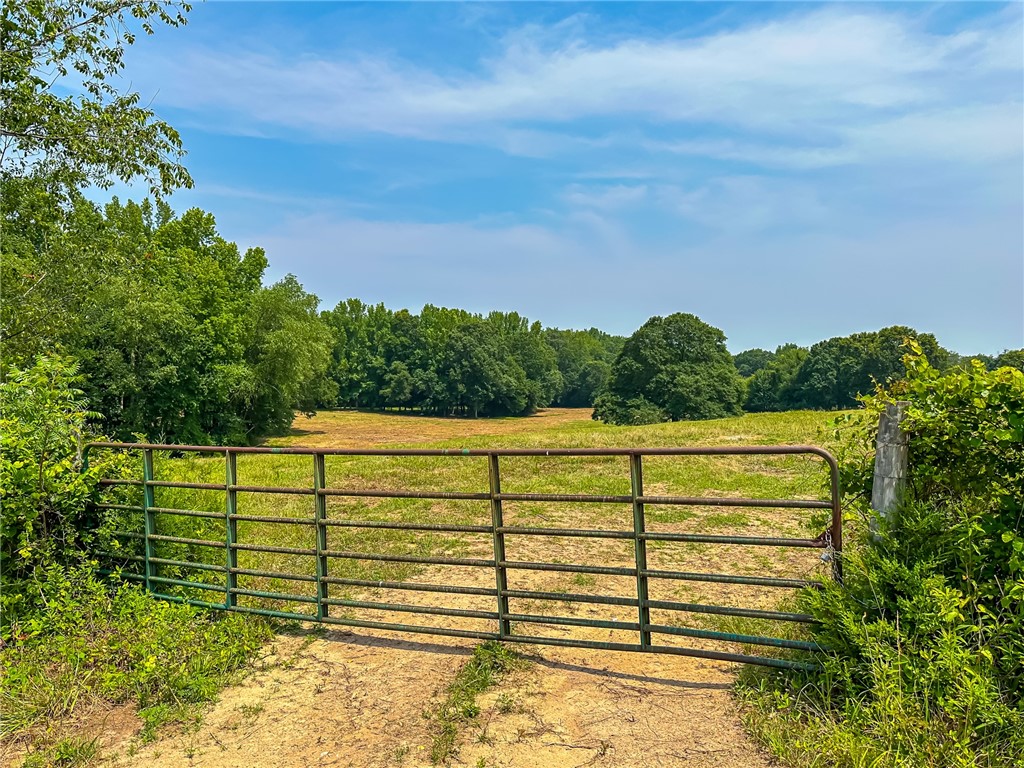 1308 Breazeale Road Easley, SC 29640 - Photo 41 of 50