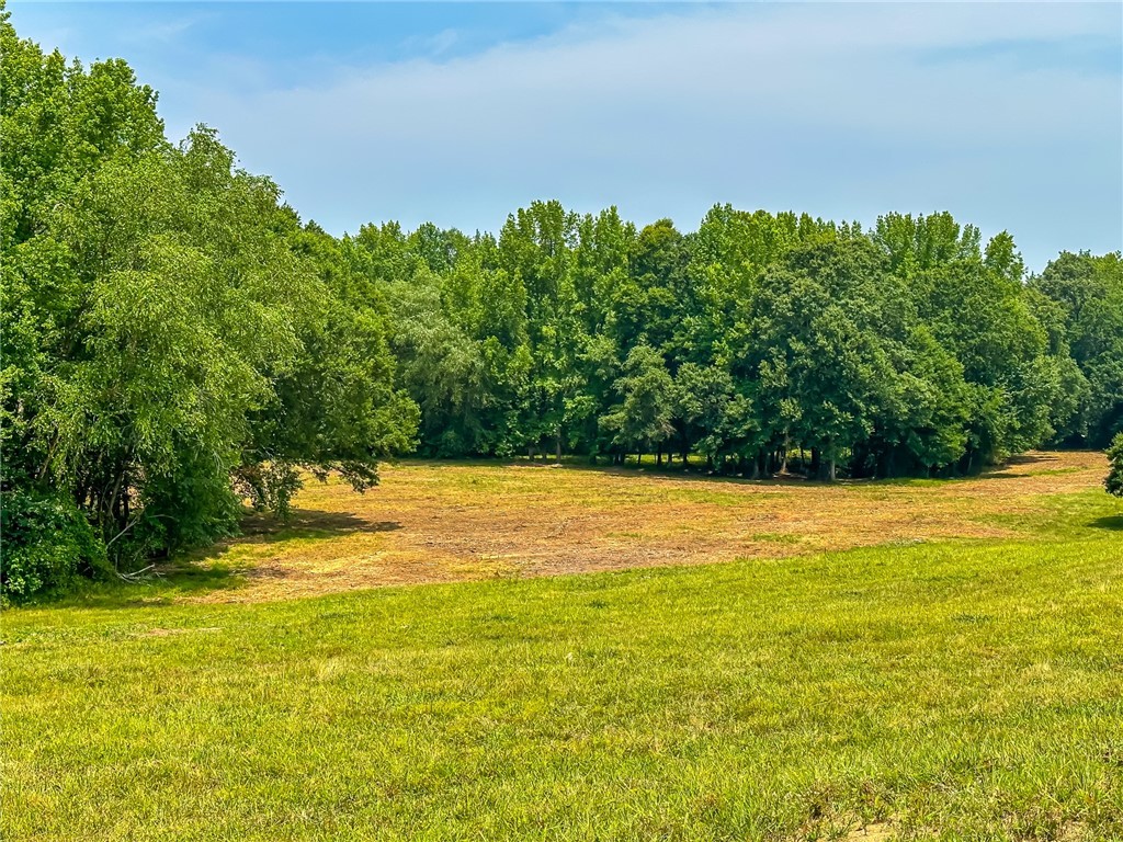 1308 Breazeale Road Easley, SC 29640 - Photo 46 of 50