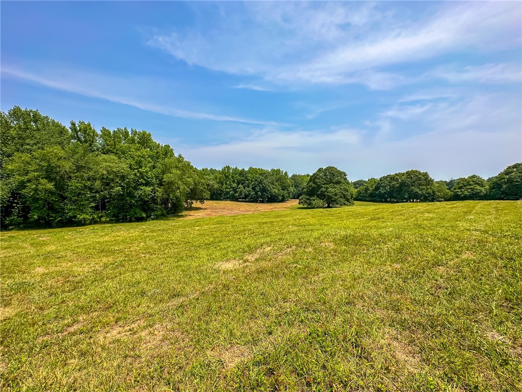 1308 Breazeale Road Easley, SC 29640 - Photo 48 of 50