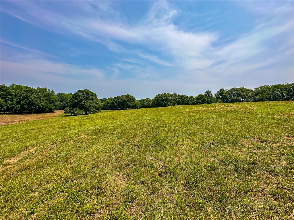 1308 Breazeale Road Easley, SC 29640 - Photo 50 of 50
