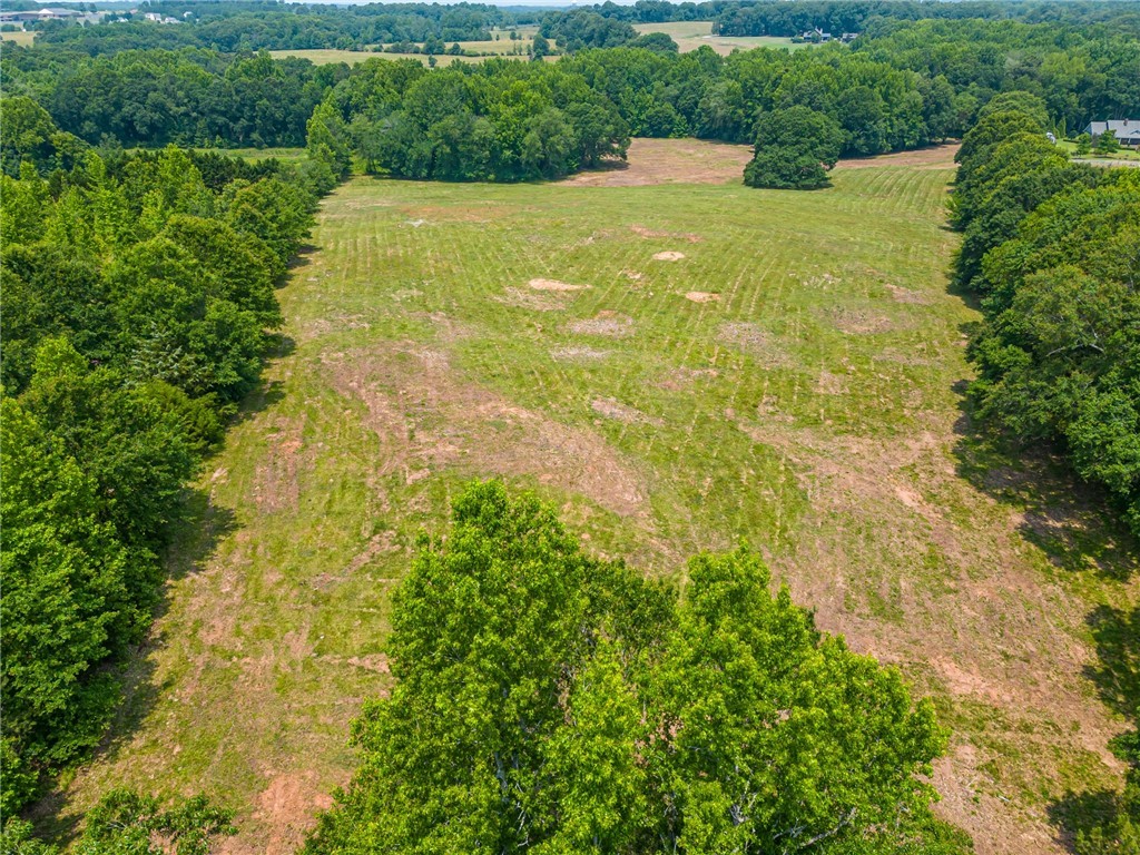 1308 Breazeale Road Easley, SC 29640 - Photo 9 of 50