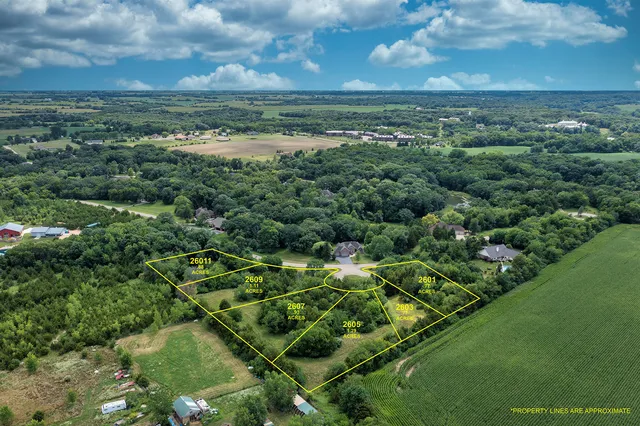 a view of a field with an ocean