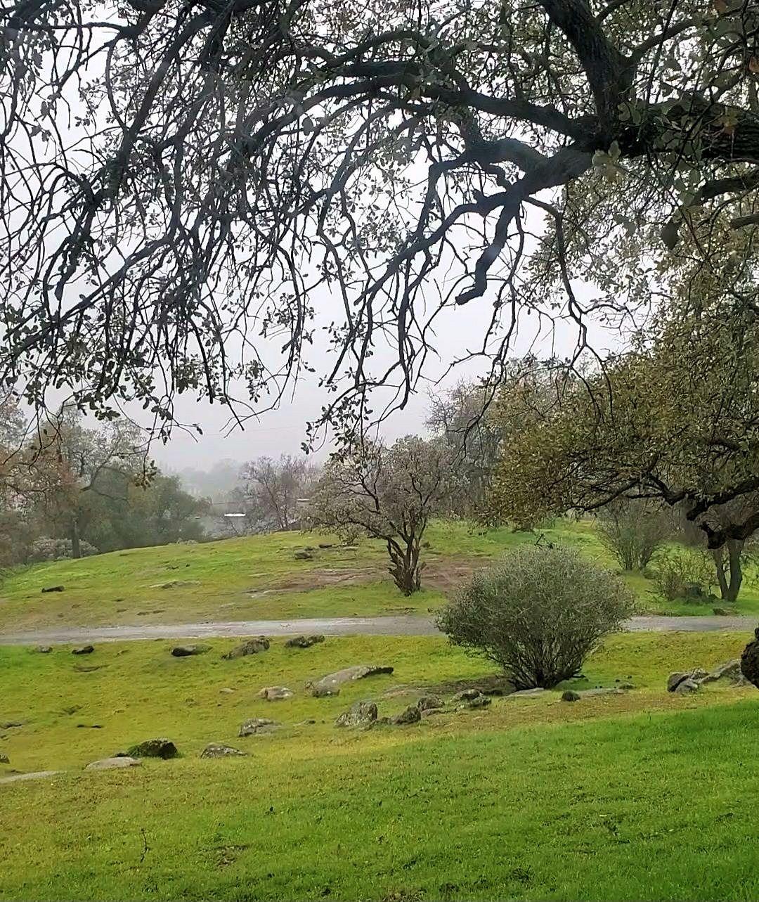 28903 Limestone Circle Coarsegold, CA 93614 - Photo 33 of 59 a view of a field with an trees