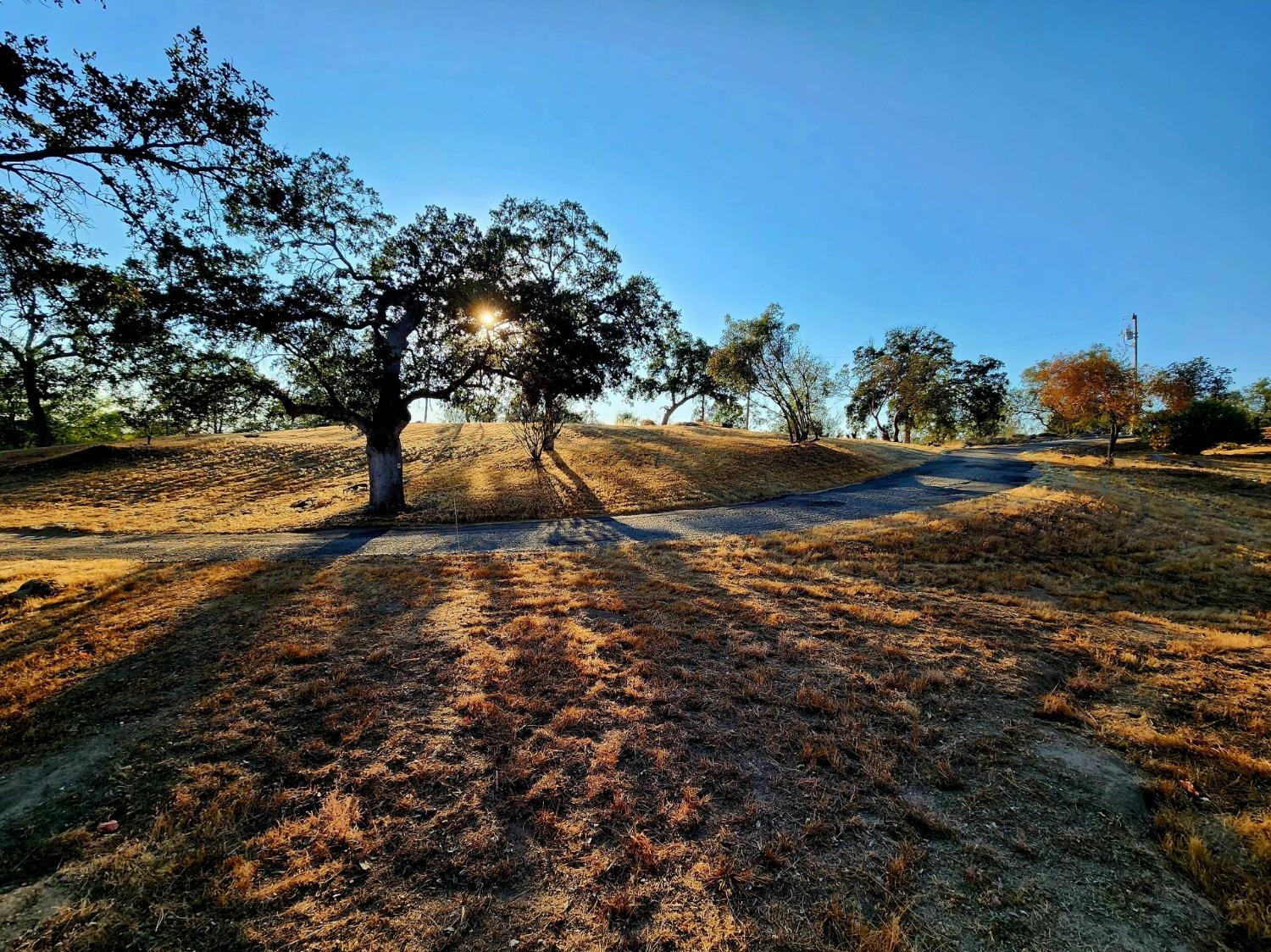 28903 Limestone Circle Coarsegold, CA 93614 - Photo 46 of 59 a view of a yard with an trees