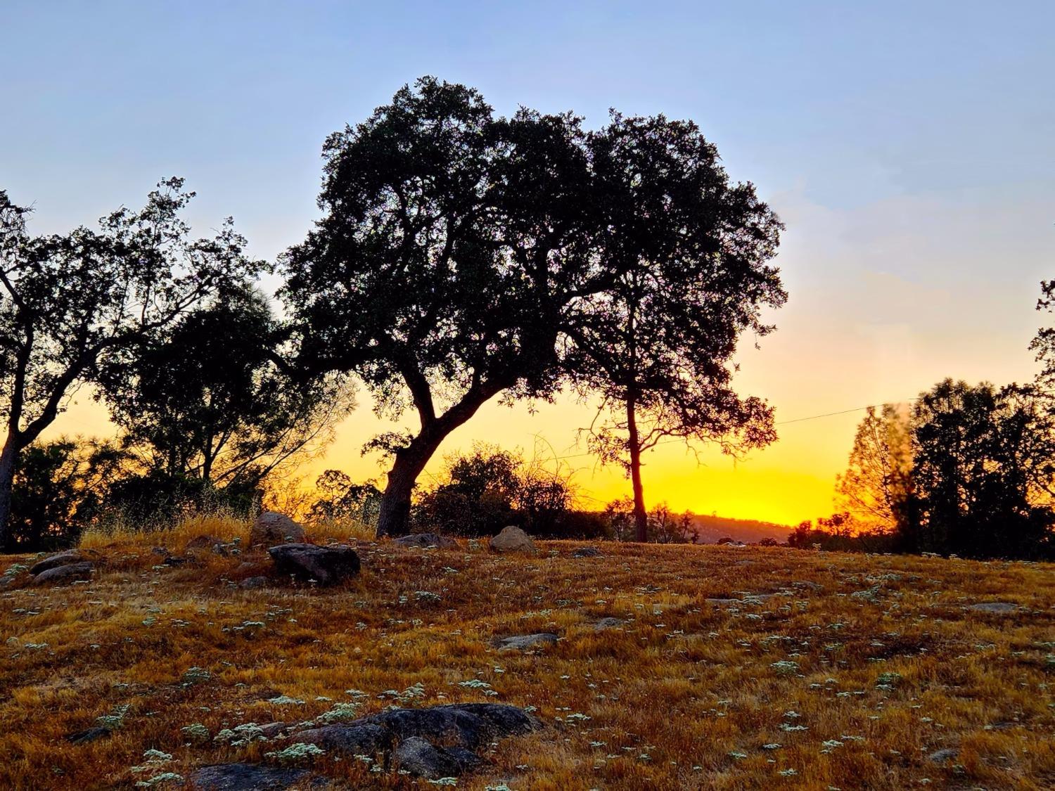 28903 Limestone Circle Coarsegold, CA 93614 - Photo 49 of 59 a view of trees with mountain view