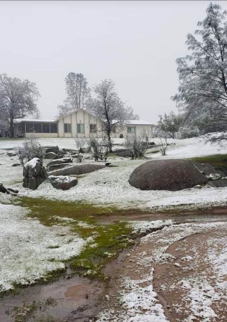28903 Limestone Circle Coarsegold, CA 93614 - Photo 50 of 59 a view of swimming pool with a yard and large trees