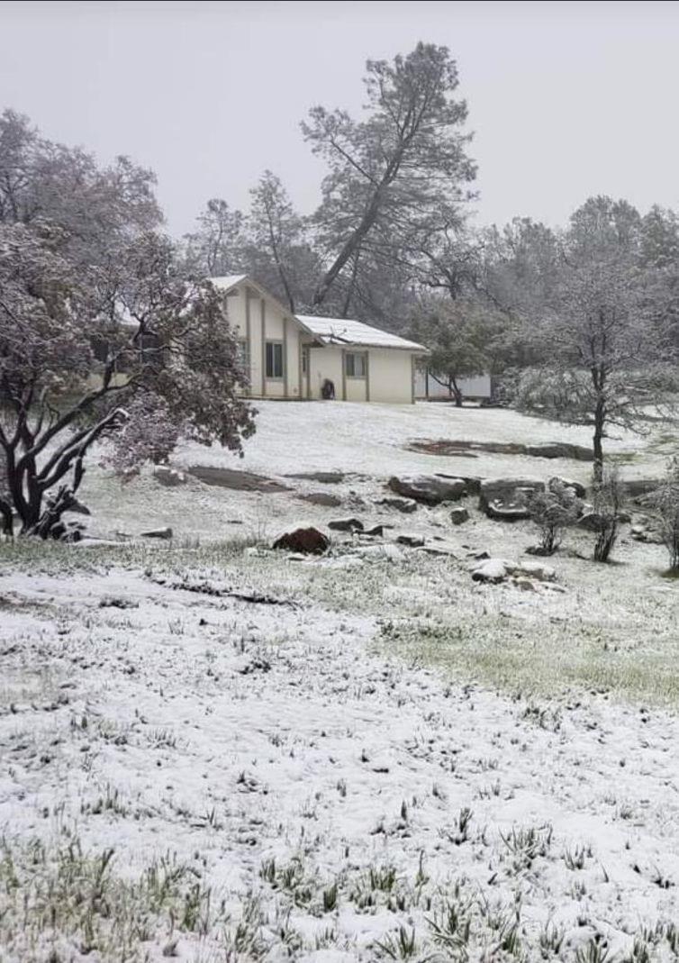 28903 Limestone Circle Coarsegold, CA 93614 - Photo 51 of 59 a view of a yard on a rock