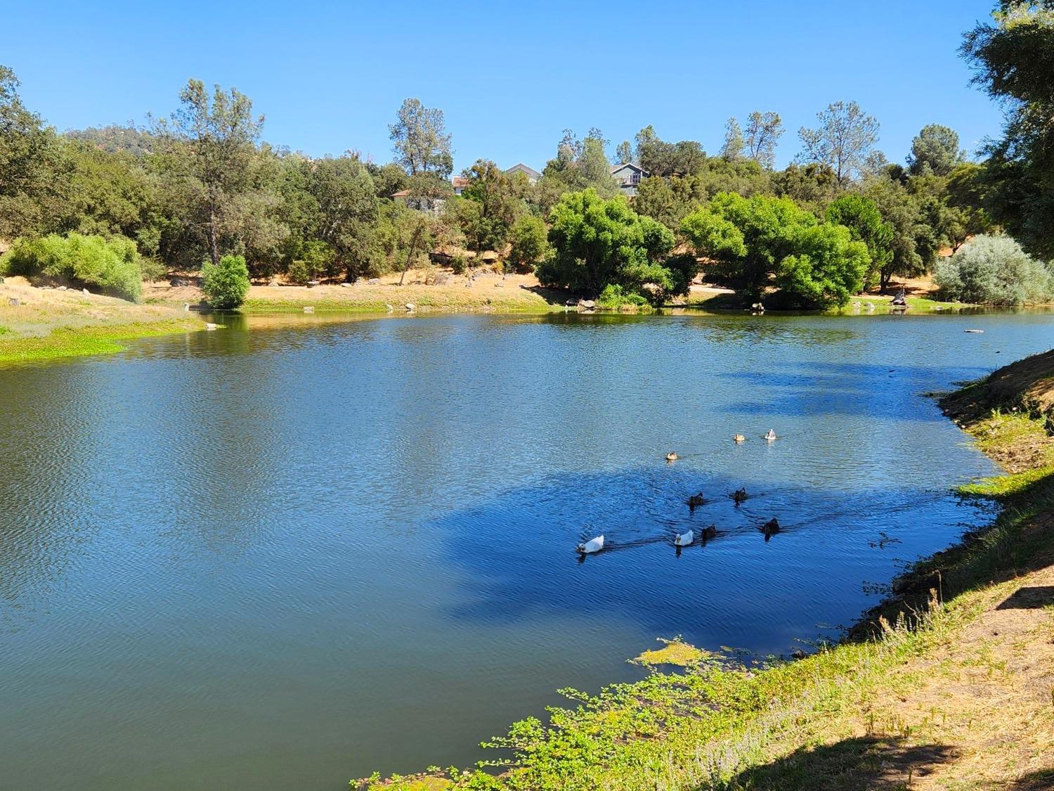 28903 Limestone Circle Coarsegold, CA 93614 - Photo 55 of 59 a view of a lake