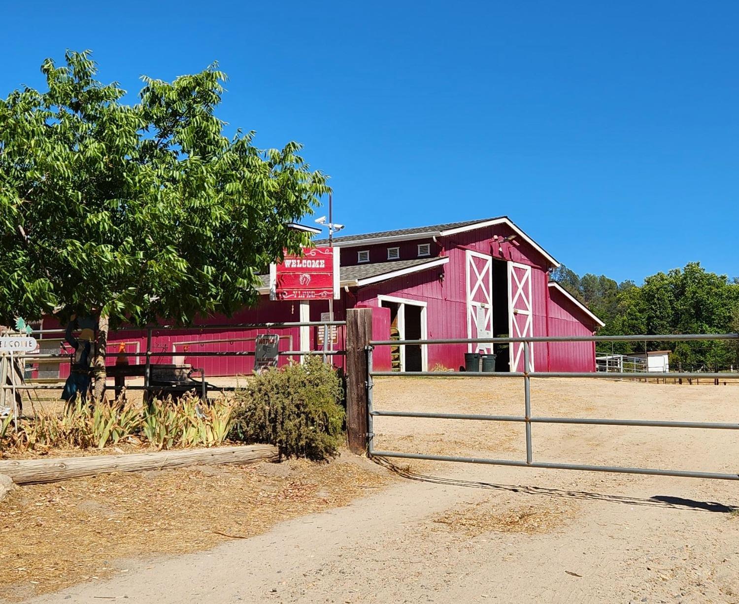 28903 Limestone Circle Coarsegold, CA 93614 - Photo 59 of 59 a view of a house with a yard