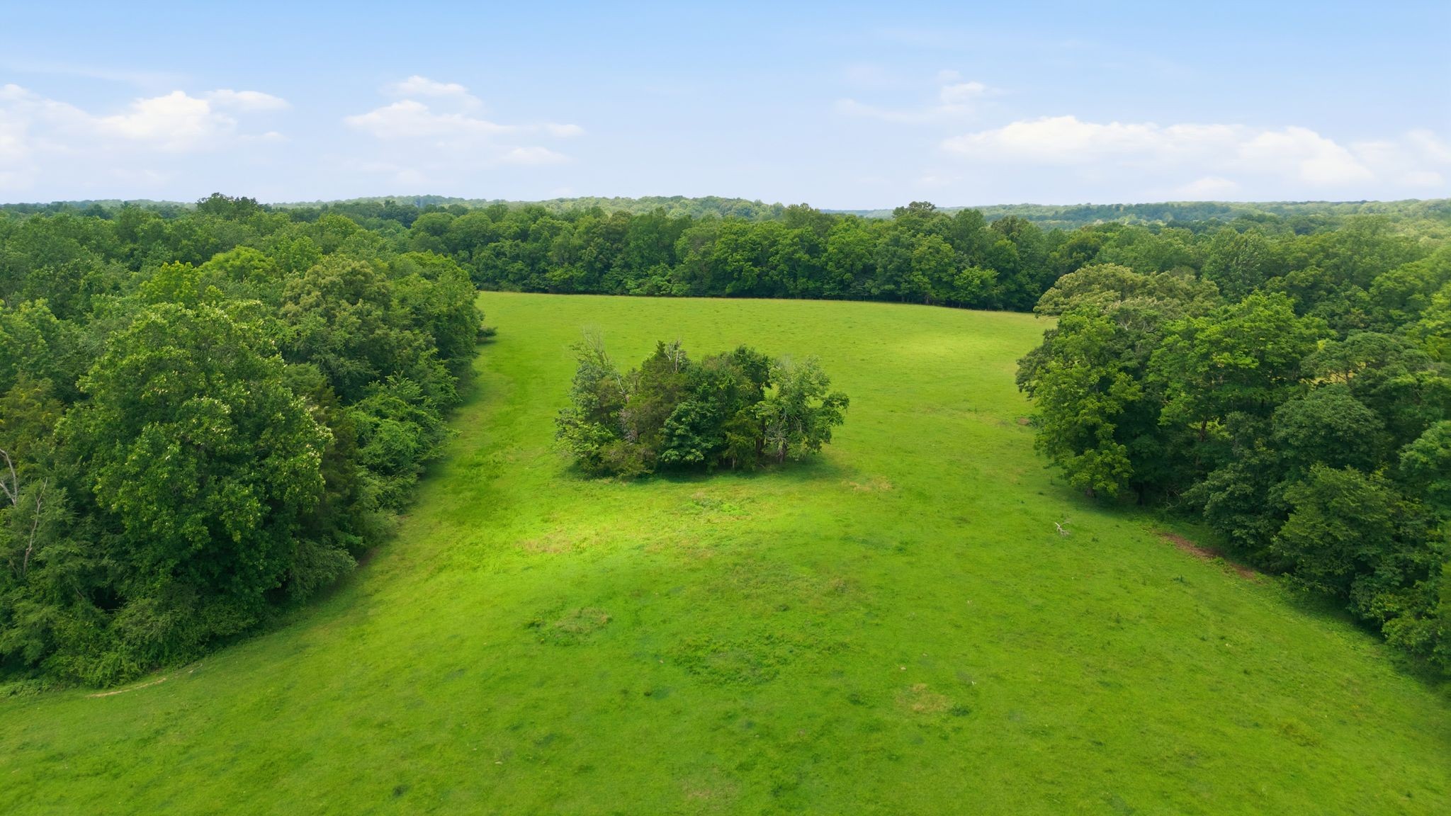 0 Franklin Road Charlotte, TN 37036 - Photo 11 of 44