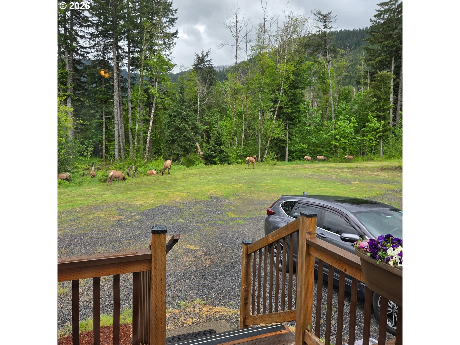 252 Blackledge Road Carson, WA 98610 - Photo 46 of 46