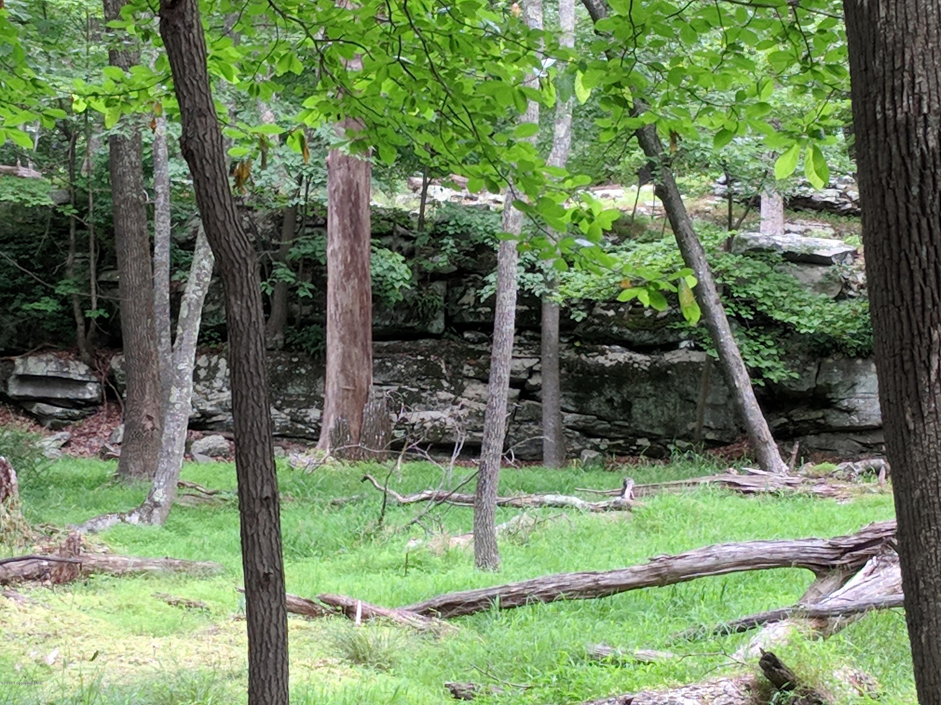 289 Hummingbird Court Bushkill, PA 18324 - Photo 3 of 12 view of back of lot