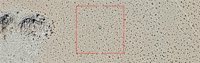 a bathroom with a shower and a sink