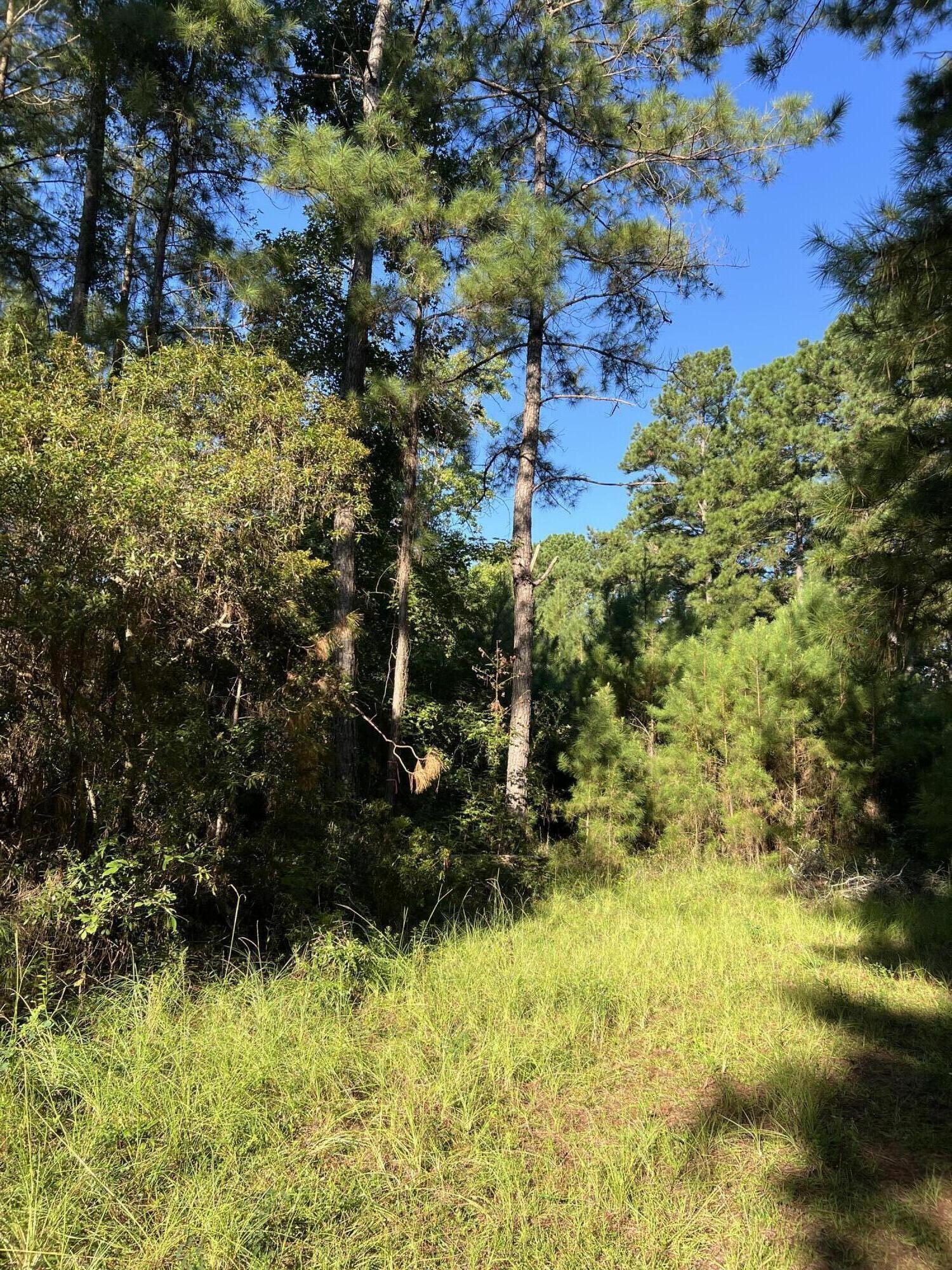 1060 Quail Path Road Santee, SC 29142 - Photo 7 of 7 IMG_5953(1)