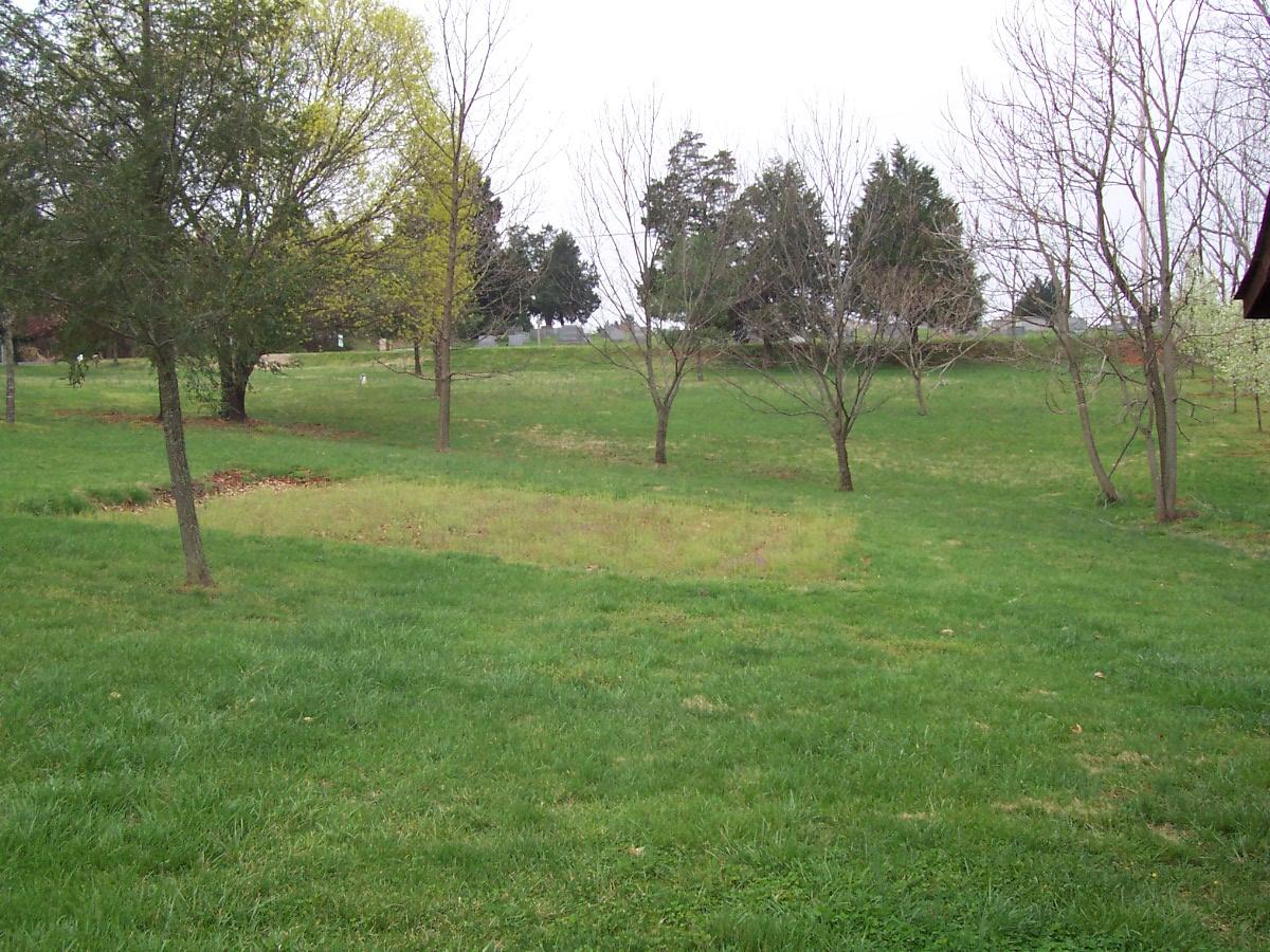 1289 Brick Church Road Rocky Mount, VA 24151 - Photo 15 of 16 Garden Space