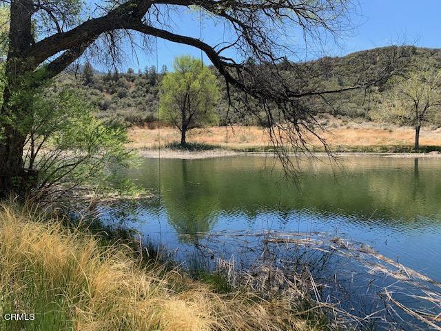 a view of a lake in between two large trees