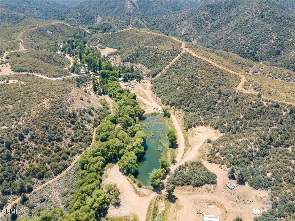 1986 Lockwood Valley Road Frazier Park, CA 93225 - Photo 15 of 22 a view of a yard with plants and tree