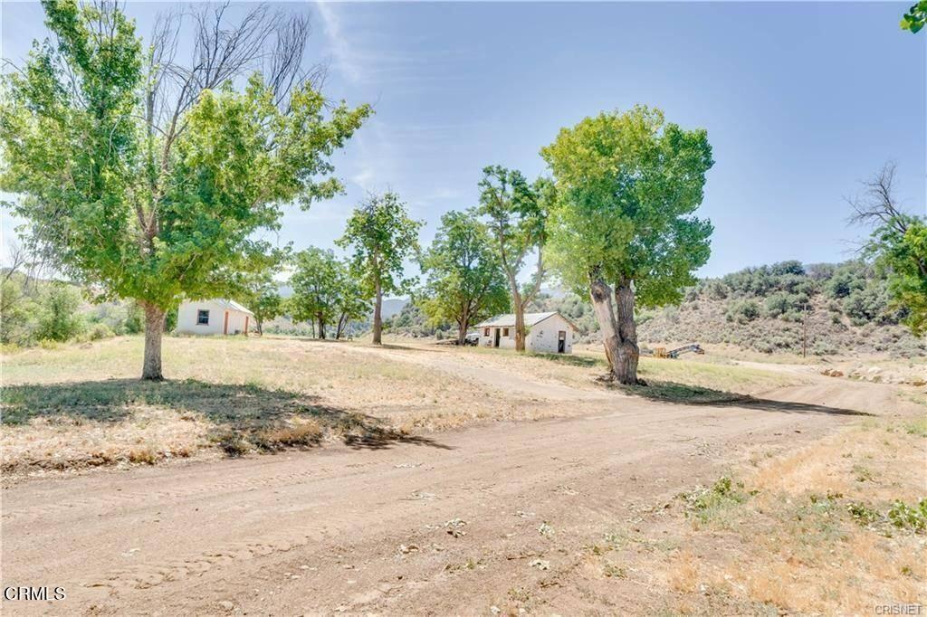 1986 Lockwood Valley Road Frazier Park, CA 93225 - Photo 19 of 22 a view of a yard with plants and trees