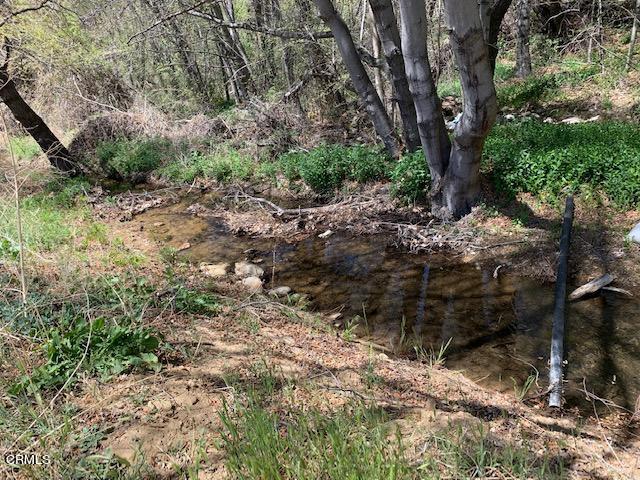 1986 Lockwood Valley Road Frazier Park, CA 93225 - Photo 4 of 22 a big yard with lots of plants and trees