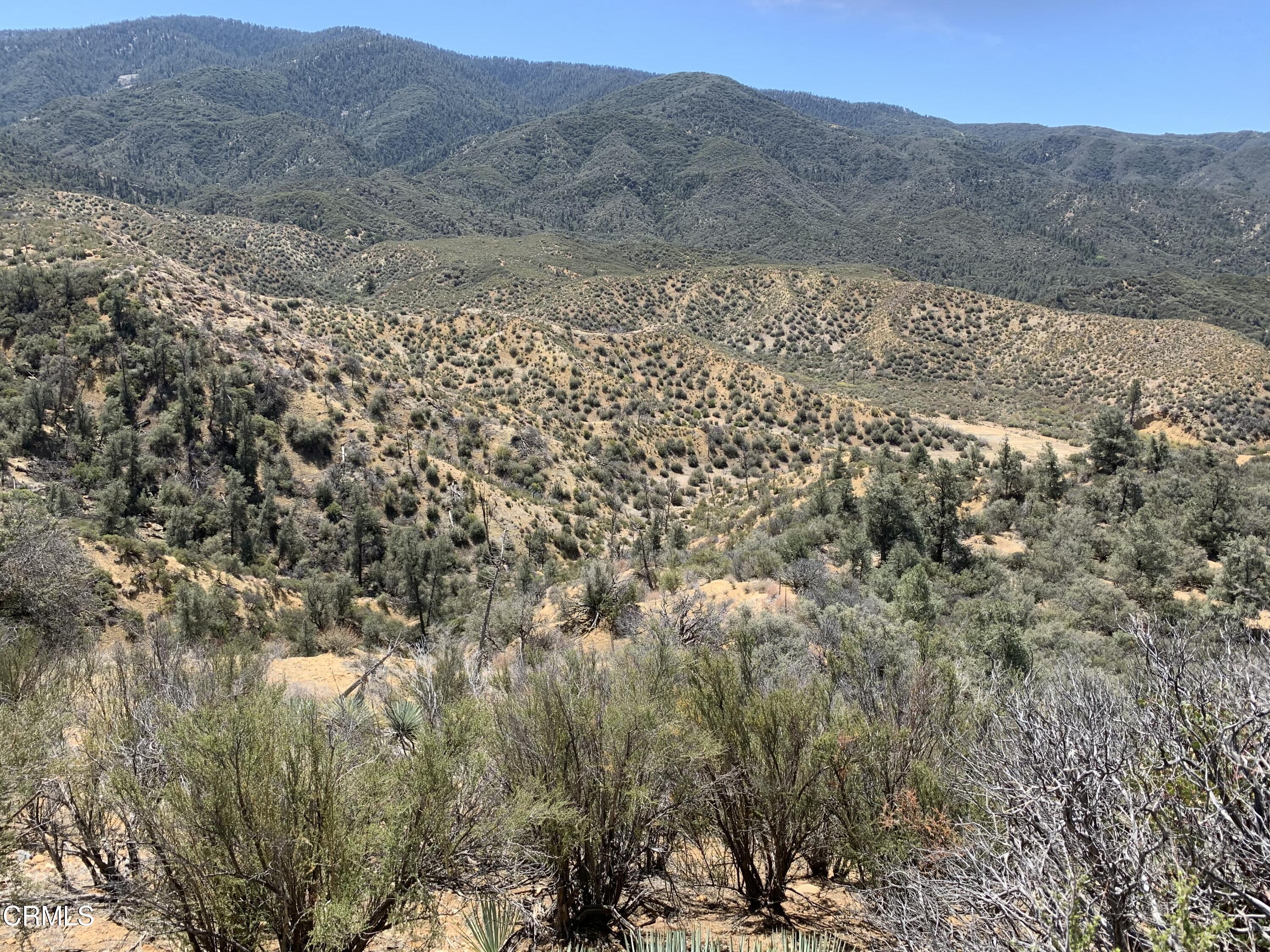 1986 Lockwood Valley Road Frazier Park, CA 93225 - Photo 6 of 22 a view of a dry yard with mountains in the background