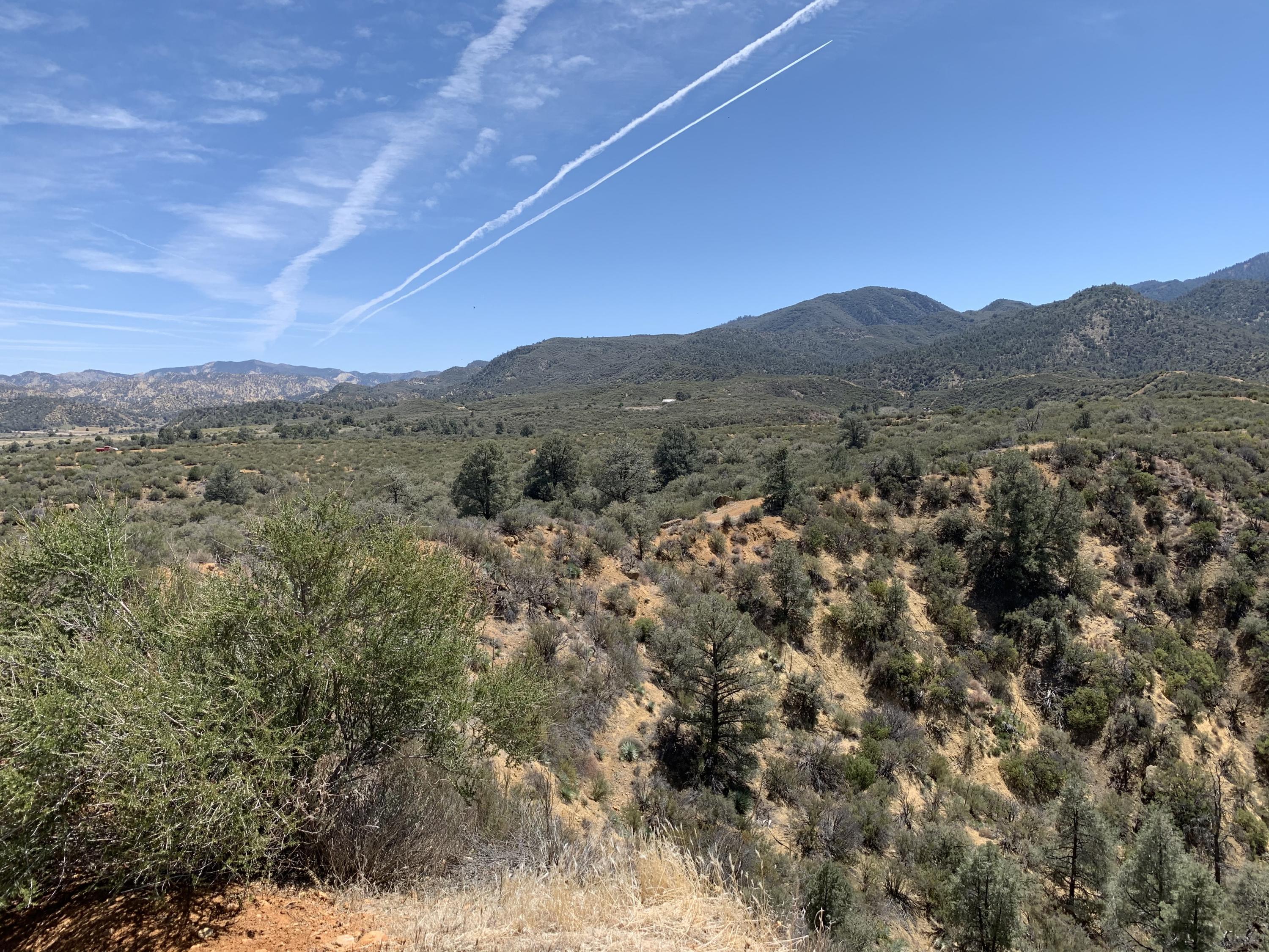 1986 Lockwood Valley Road Frazier Park, CA 93225 - Photo 7 of 22 a view of a forest with mountains in the background