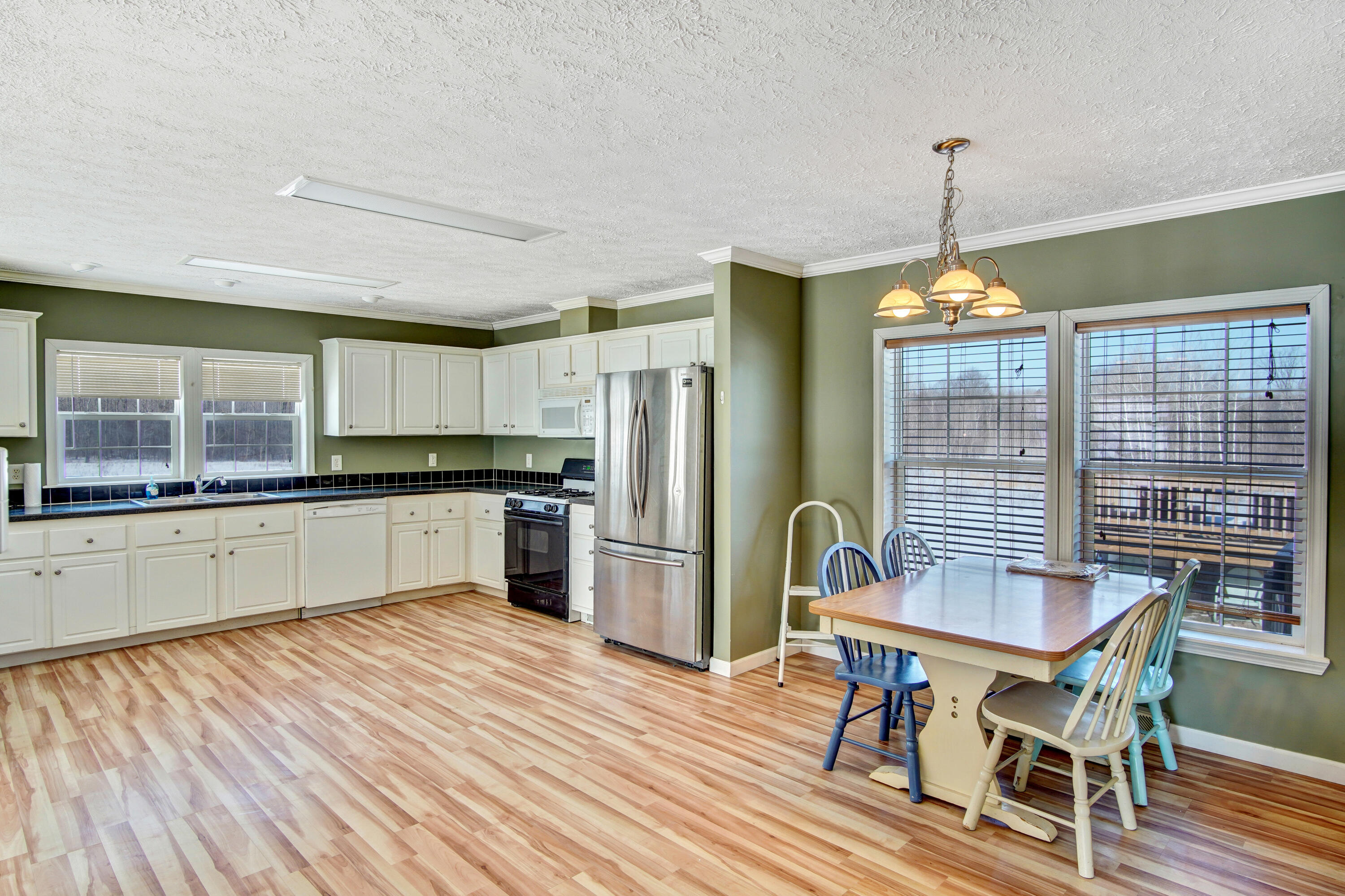 19360 Mcclish Road Copemish, MI 49625 - Photo 8 of 66 DSC04898And8more