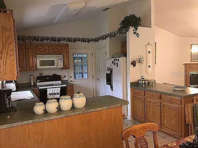 363 Southwest Monroe Avenue Mayo, FL 32066 - Photo 8 of 12 a kitchen with stainless steel appliances granite countertop a sink and cabinets