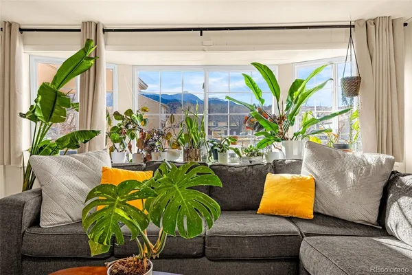 a living room with furniture and a potted plant